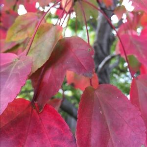 Meet your Posher, Christy